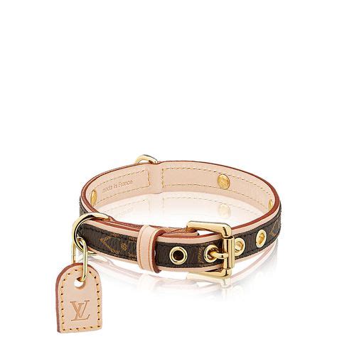 Gucci designer cat collars